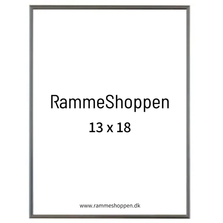 Sølvramme, aluminium, blank, smal, Type 9013