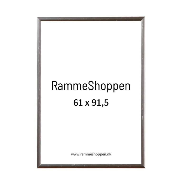 Sølvramme, aluminium, blank, smal, Type 9013