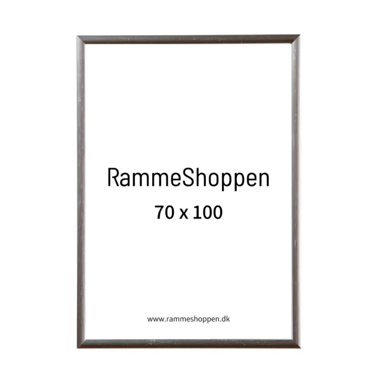 Sølvramme, aluminium, blank, smal, Type 9013