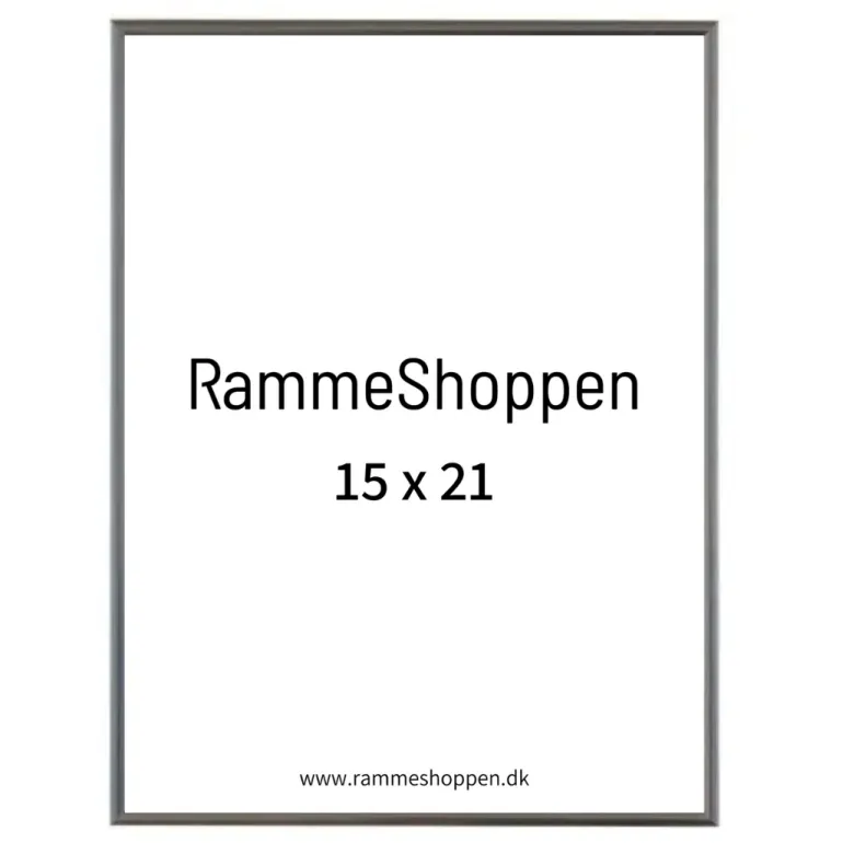 Sølvramme, aluminium, blank, smal, Type 9013