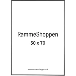 Sølvramme, aluminium, blank, smal, 50 x 70 cm, Type 9013