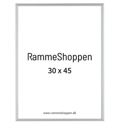 Sølvramme, mat, aluminium, smal, 30 x 45 cm, Type 670