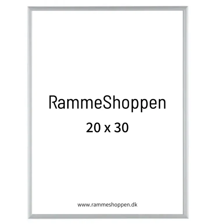 Sølvramme, mat, aluminium, smal, 20 x 30 cm, Type 670