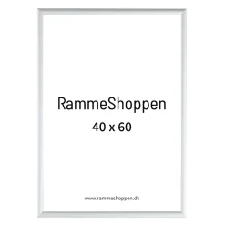 Sølvramme, mat, aluminium, smal, 40 x 60 cm, Type 670