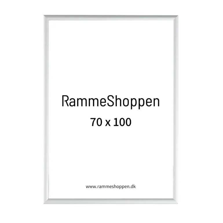 Sølvramme, mat, aluminium, smal, 70 x 100 cm, Type 670