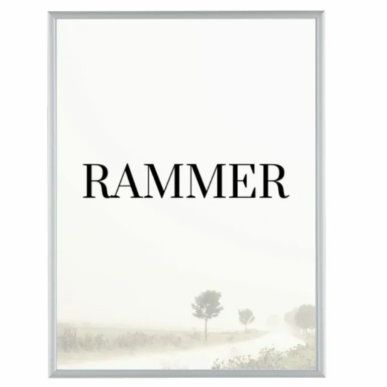 Sølvramme, mat, aluminium, smal, 15 x 20 cm, Type 670