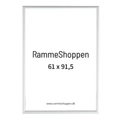 Sølvramme, mat, aluminium, smal, 61 x 91,5 cm, Type 670