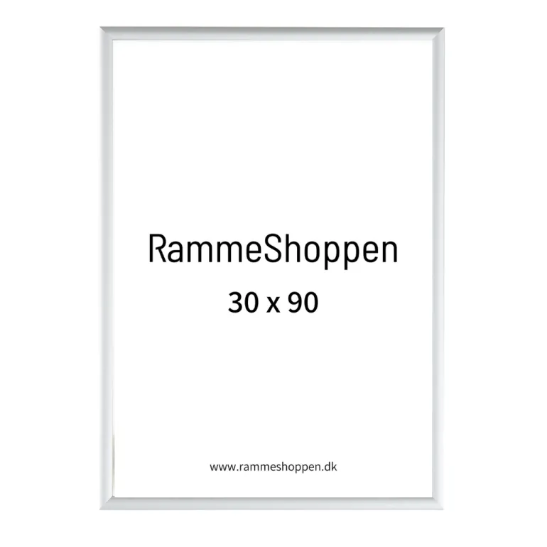 Sølvramme, mat, aluminium, smal, 30 x 90 cm, Type 670