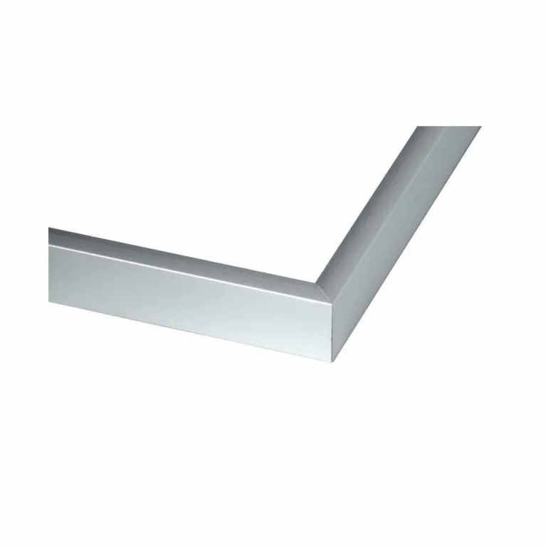 Sølvramme, mat, aluminium, smal, 30 x 90 cm, Type 670