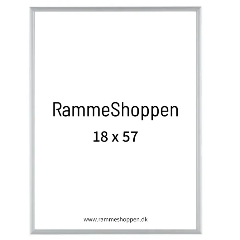 Sølvramme, mat, aluminium, smal, 18 x 57 cm, Type 670