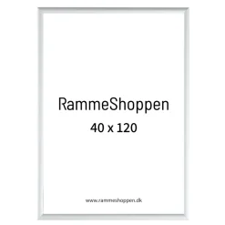 Sølvramme, mat, aluminium, smal, 40 x 120 cm, Type 670