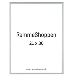 Sølvramme, mat, aluminium, smal, Type 670