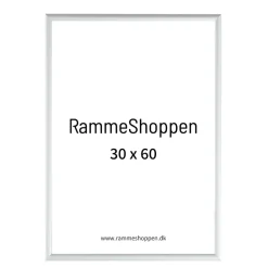 Sølvramme, mat, aluminium, smal, Type 670