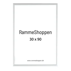 Sølvramme, mat, aluminium, smal, Type 670