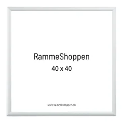 Sølvramme, mat, aluminium, smal, Type 670