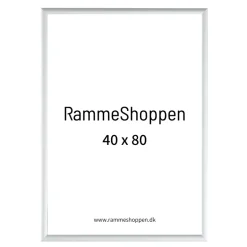 Sølvramme, mat, aluminium, smal, Type 670