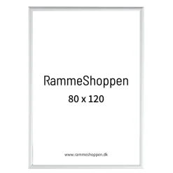 Sølvramme, mat, aluminium, smal, 80 x 120 cm, Type 670