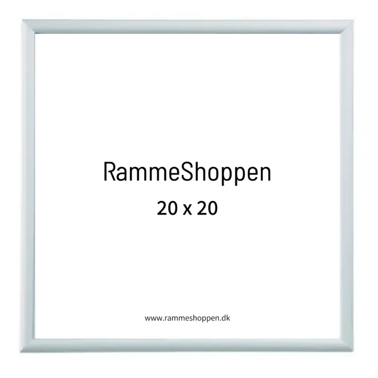 Sølvramme, mat, aluminium, smal, 20 x 20 cm, Type 670