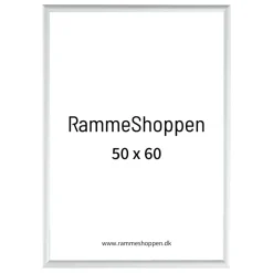 Sølvramme, mat, aluminium, smal, 50 x 60 cm, Type 670