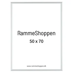 Sølvramme, mat, aluminium, smal, 50 x 70 cm, Type 670