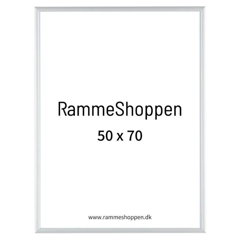 Sølvramme, mat, aluminium, smal, 50 x 70 cm, Type 670