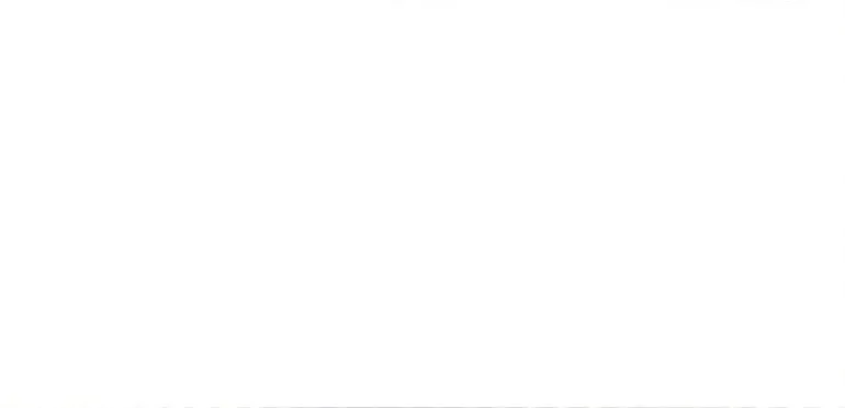 Sort aluramme, mat, smal, 40 x 80 cm, Type 672