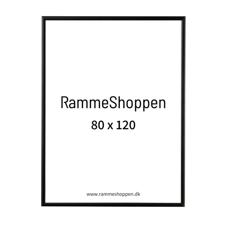 Sort aluramme, mat, smal, 80 x 120 cm, Type 672