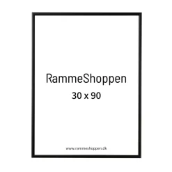 Sort aluramme, mat, smal, 30 x 90 cm, Type 672